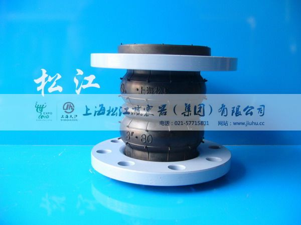 双球挠橡胶接头