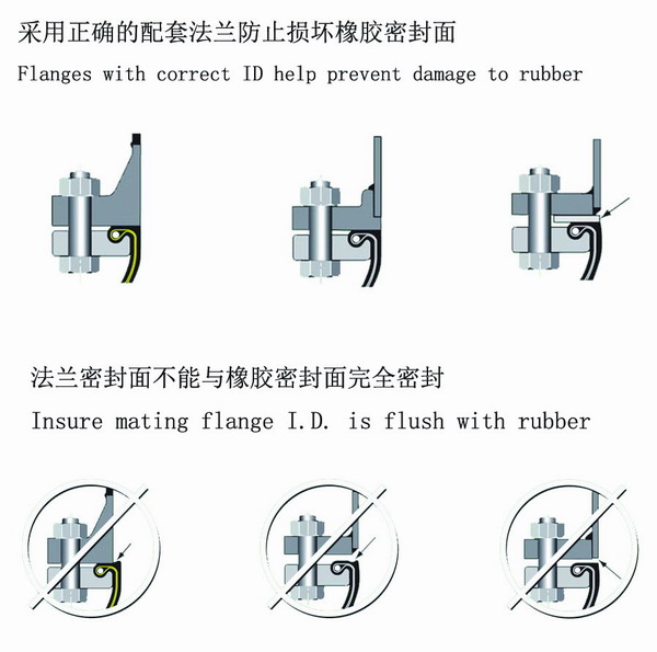 双球挠橡胶接头