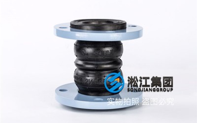 上海XTQ2RF型双球橡胶接头丁腈材质